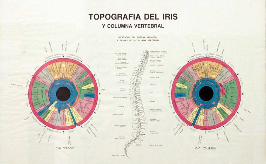 Poster "Topografía del Iris"